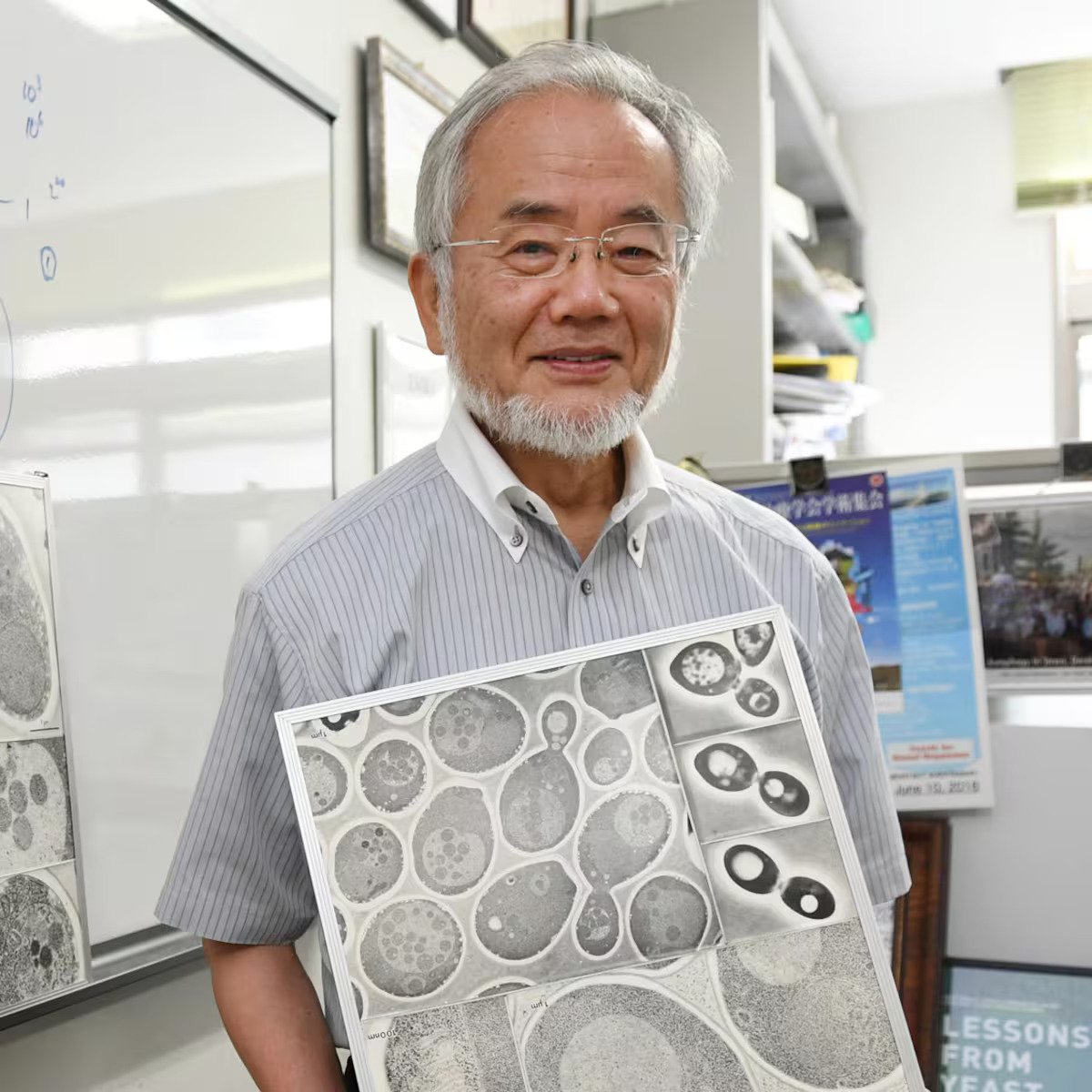 Yoshinori Ohsumi — Nobel 2016